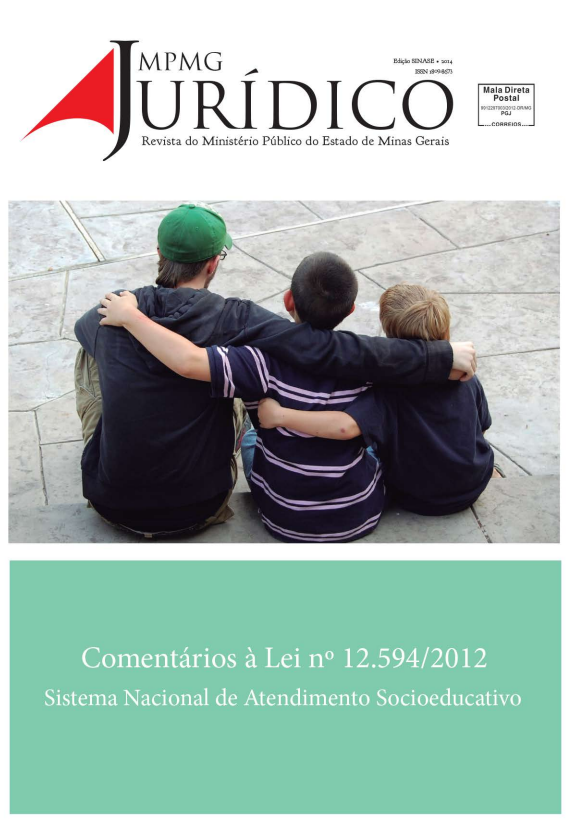 Comentários à Lei n°. 12.594/2012