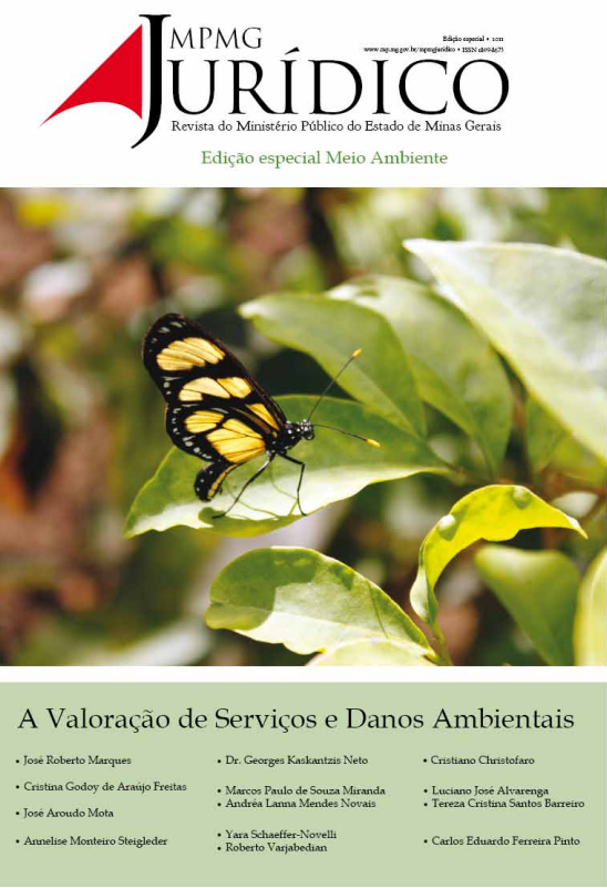 A valoração de serviços e danos ambientais