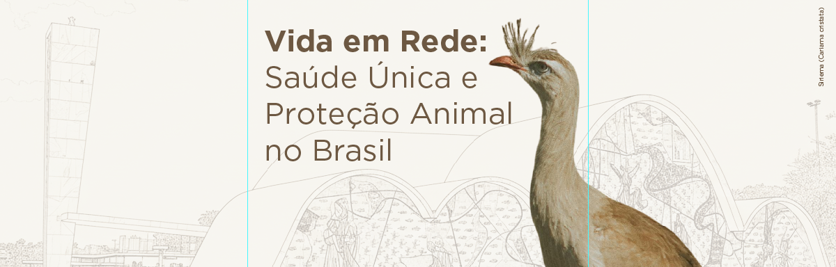 Vida em Rede: Saúde Única e Proteção Animal no Brasil