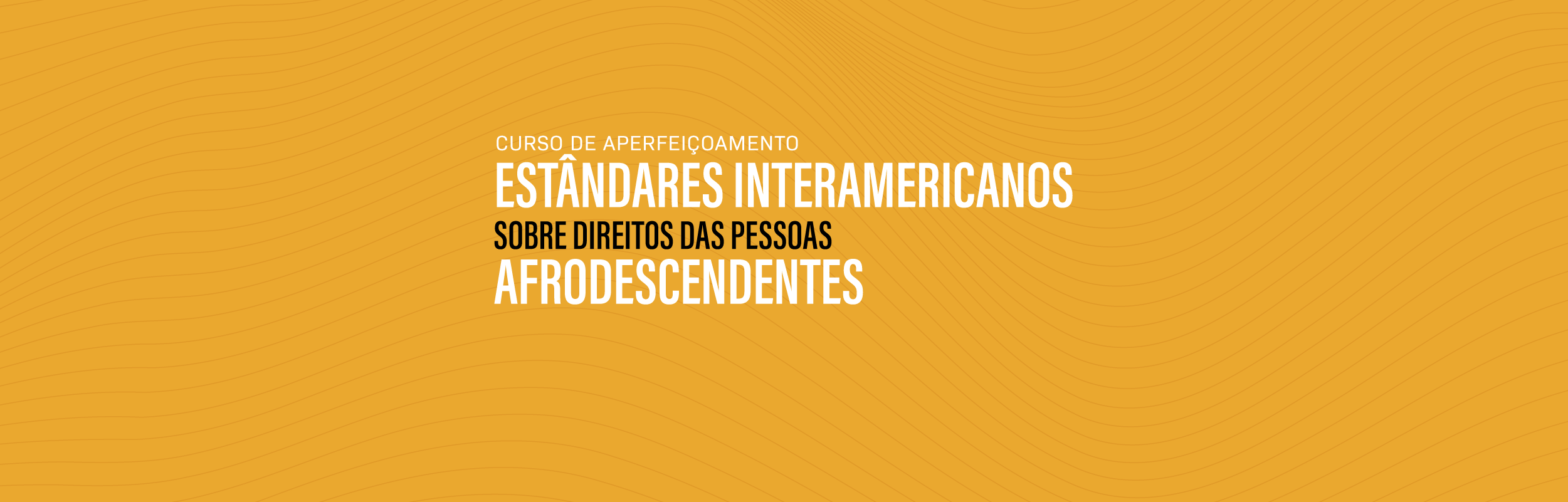 Curso de Aperfeiçoamento “Estândares Interamericanos sobre Direitos das Pessoas Afrodescendentes”