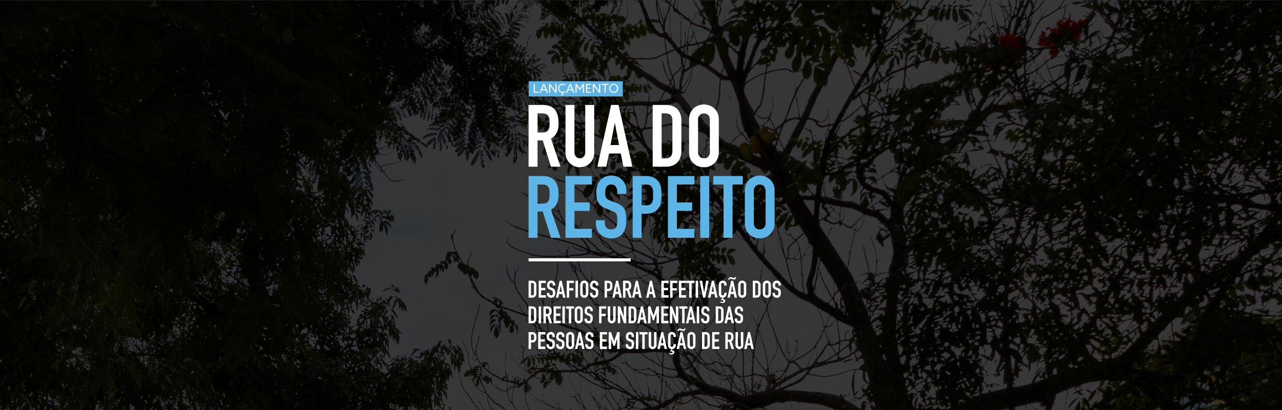Lançamento da obra coletiva Rua do Respeito
